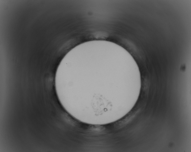 X0000101970321200807180732