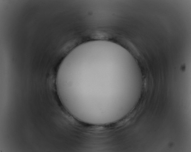 X0000101970322200807180732