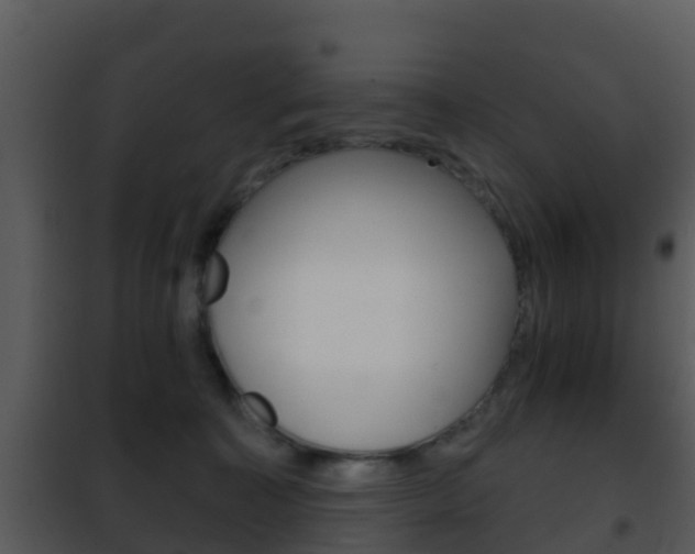 X0000101970323200807180732
