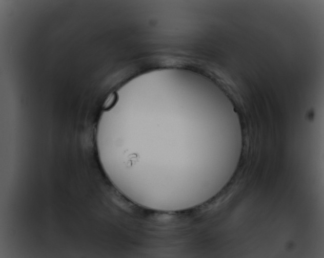 X0000101970325200807180732