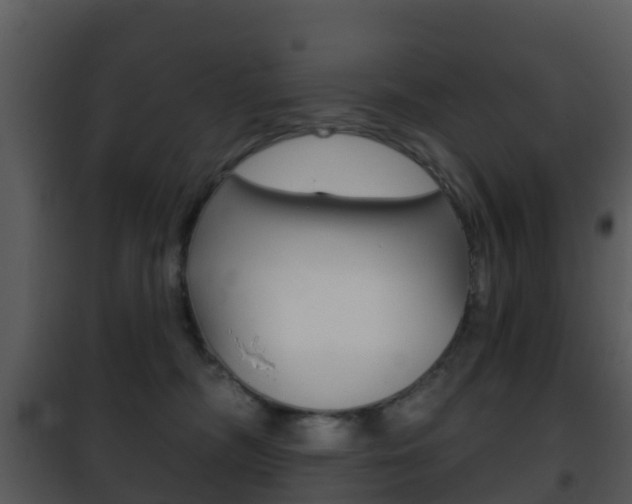 X0000101970326200807180732