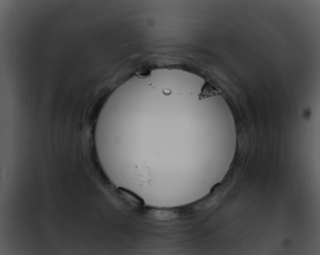 X0000101970327200807180732