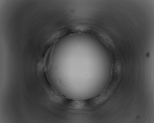 X0000101970328200807180732