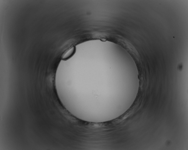 X0000101970329200807180732