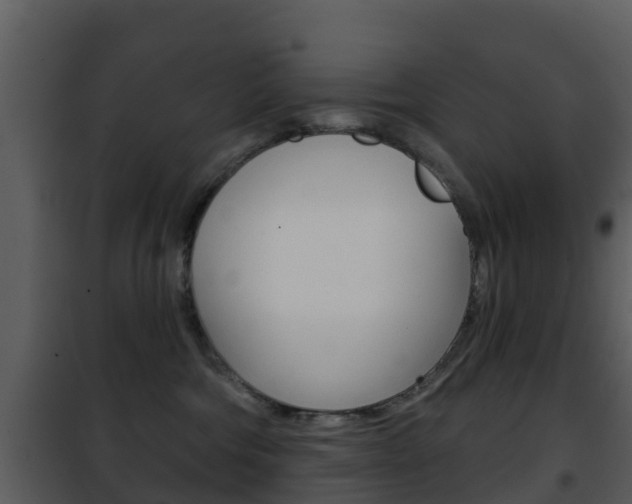 X0000101970330200807180732