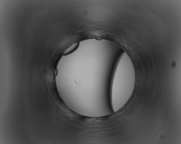 X0000101970331200807180732