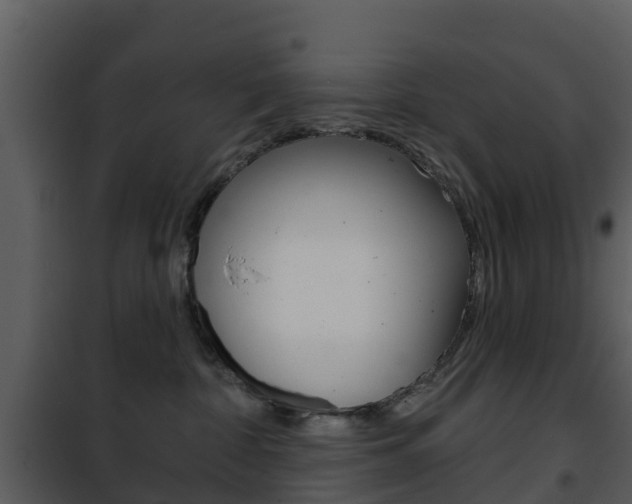 X0000101970332200807180732