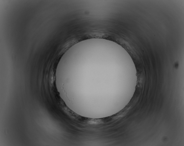 X0000101970334200807180732