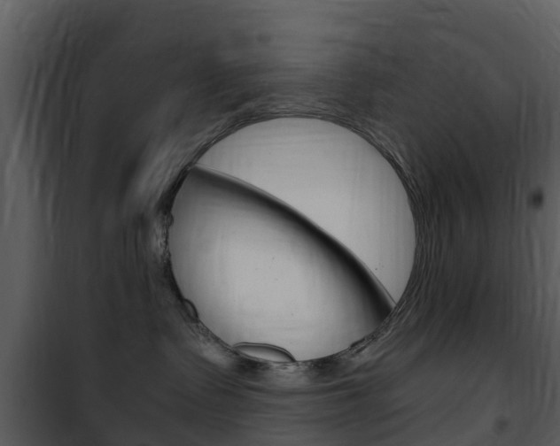 X0000101970335200807180732