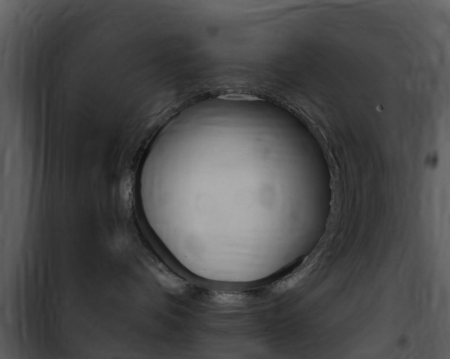X0000101970336200807180732