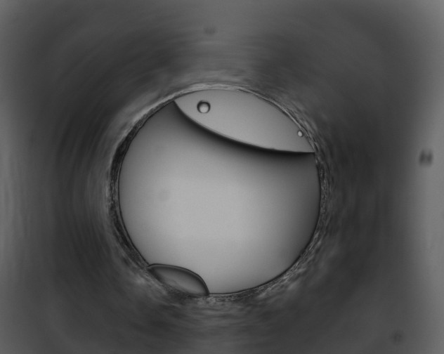 X0000101970338200807180731