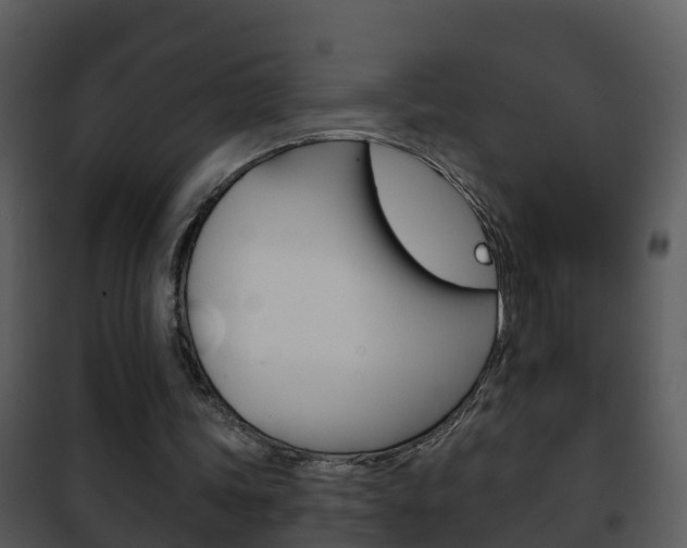 X0000101970339200807180731