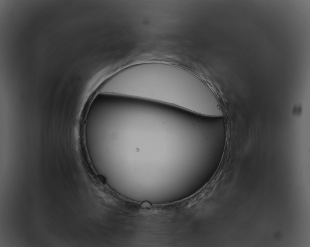 X0000101970340200807180731