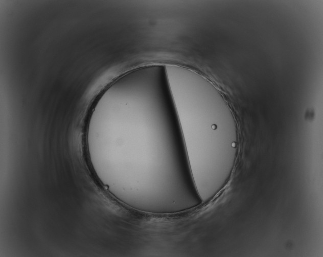 X0000101970341200807180731