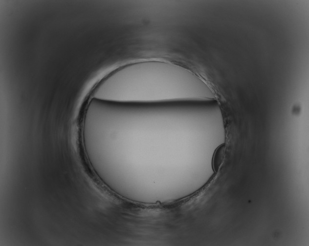 X0000101970342200807180731