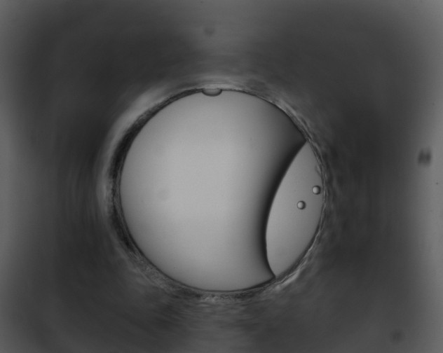 X0000101970343200807180731