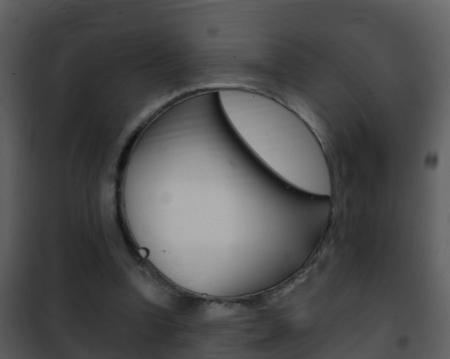 X0000101970346200807180731