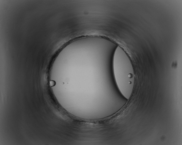 X0000101970347200807180731