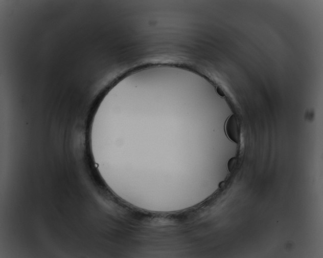 X0000101970348200807180731