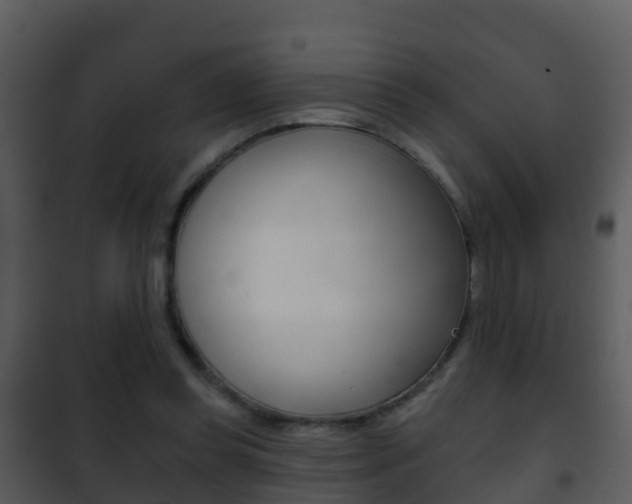 X0000101970349200807180731