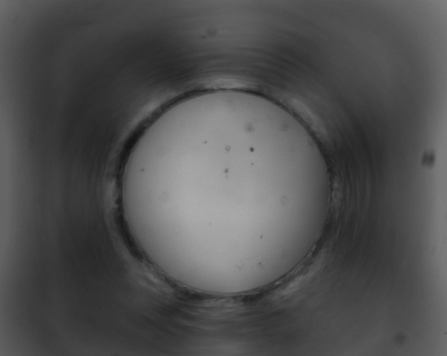 X0000101970351200807180731