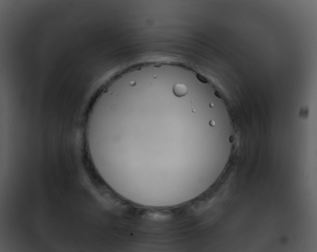 X0000101970352200807180731