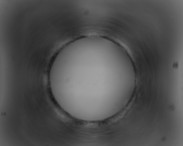 X0000101970353200807180731