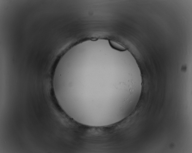 X0000101970354200807180732