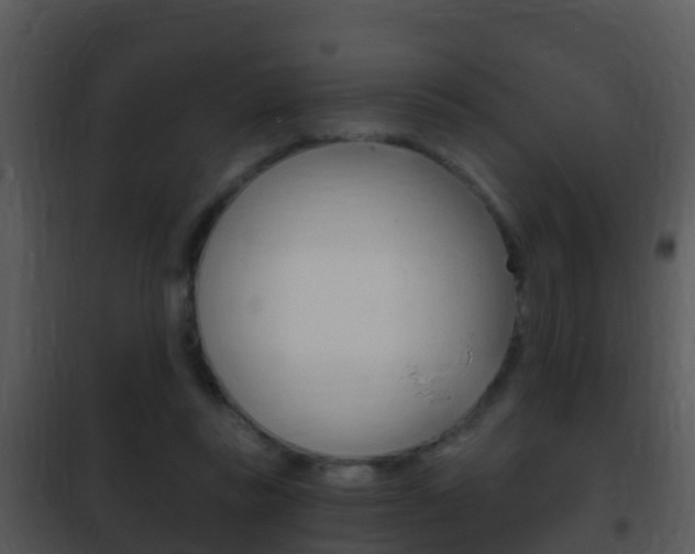 X0000101970355200807180732
