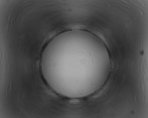 X0000101970357200807180732