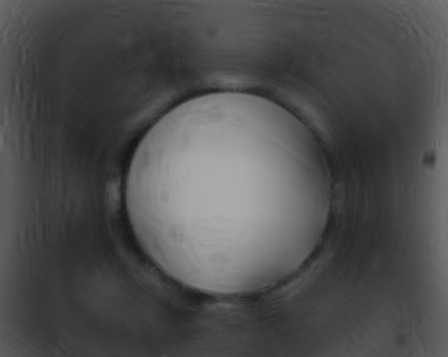 X0000101970358200807180732