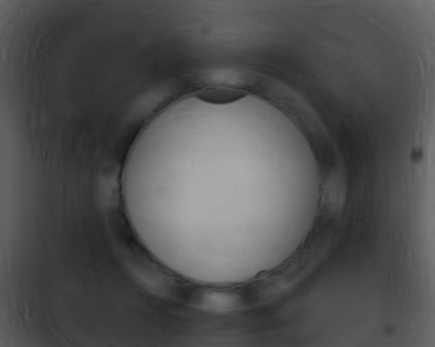 X0000101970360200807180732