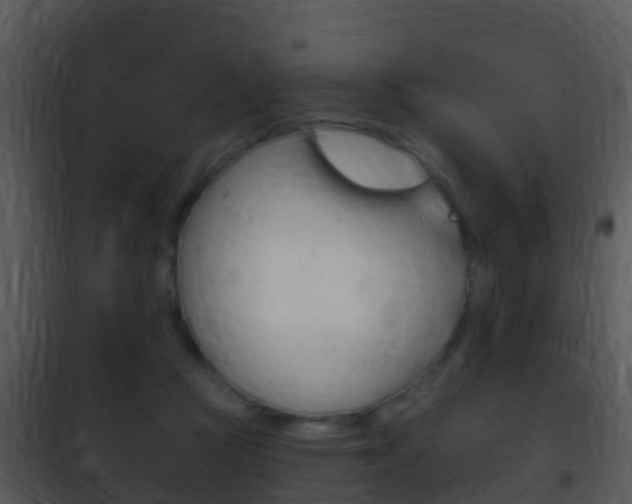 X0000101970361200807180732