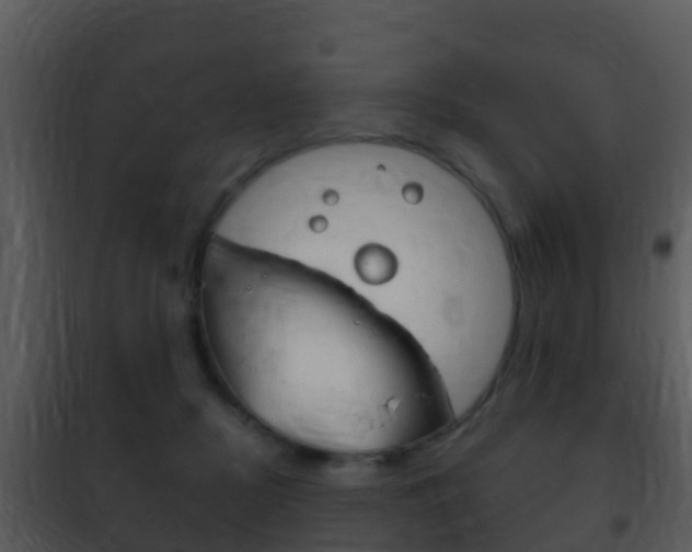 X0000101970362200807180732