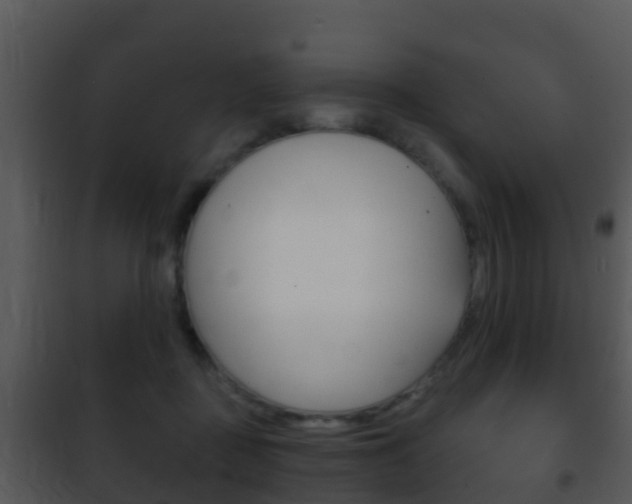 X0000101970363200807180732