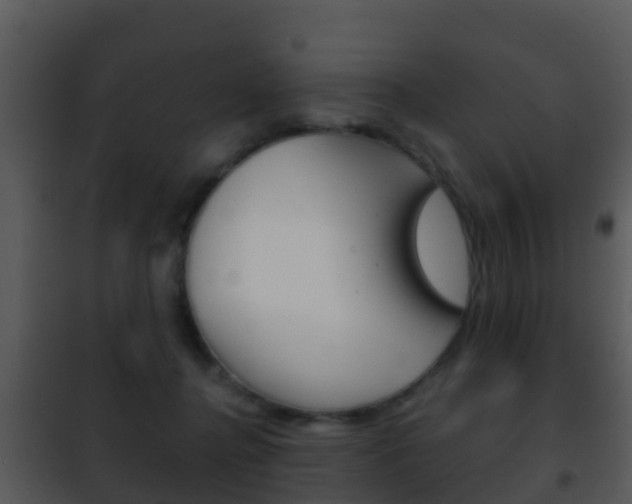 X0000101970364200807180732