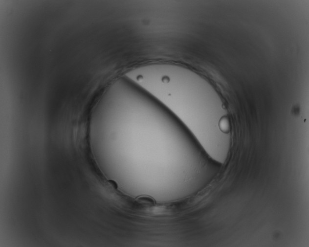 X0000101970365200807180732