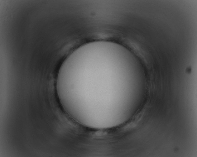 X0000101970366200807180732