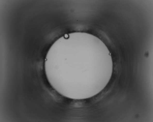 X0000101970368200807180732