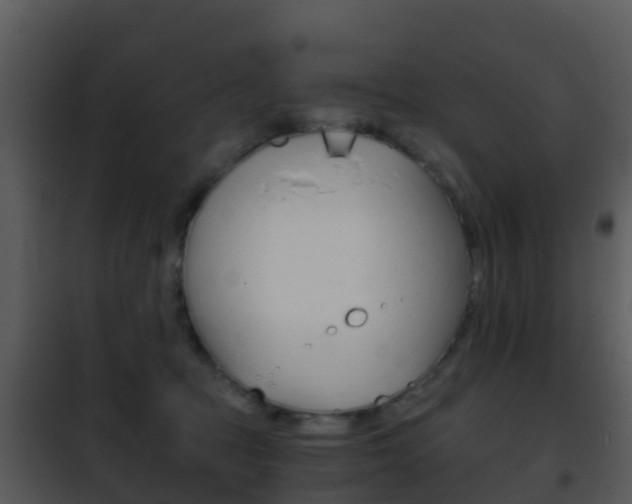 X0000101970369200807180732