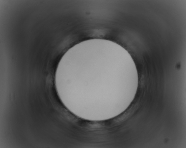 X0000101970370200807180732