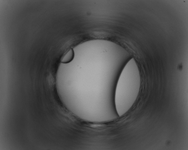 X0000101970371200807180732