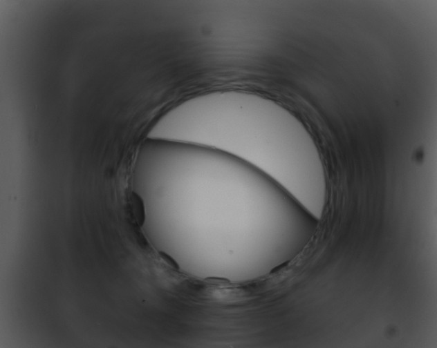 X0000101970372200807180732