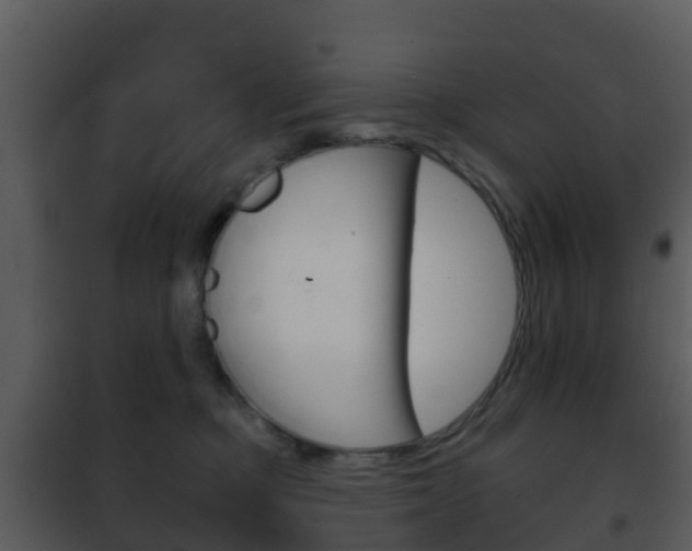 X0000101970373200807180732