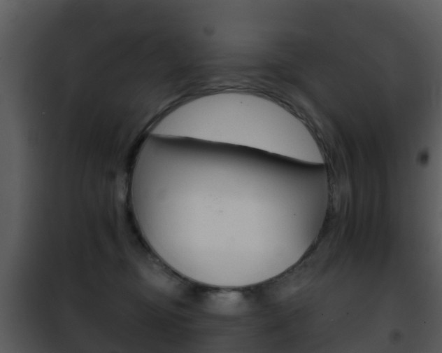 X0000101970374200807180732