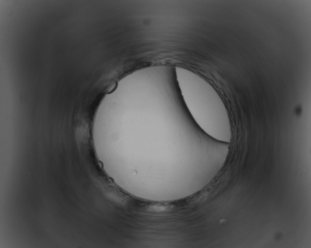X0000101970375200807180732