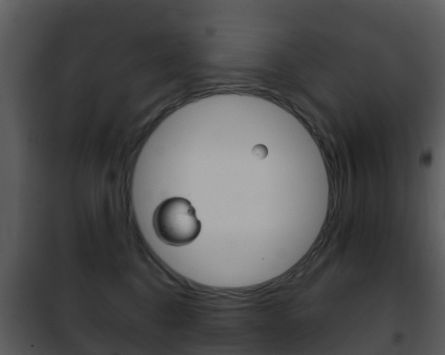 X0000101970376200807180732