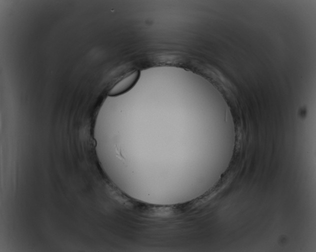 X0000101970377200807180732