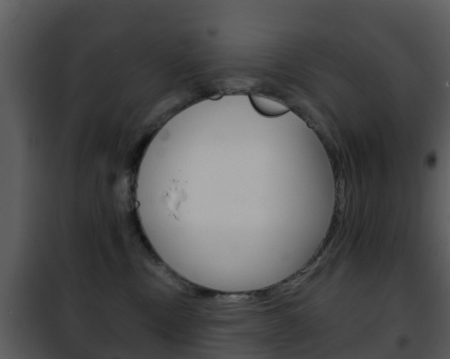 X0000101970378200807180732