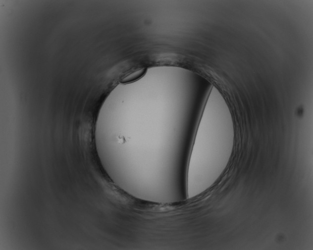 X0000101970379200807180732